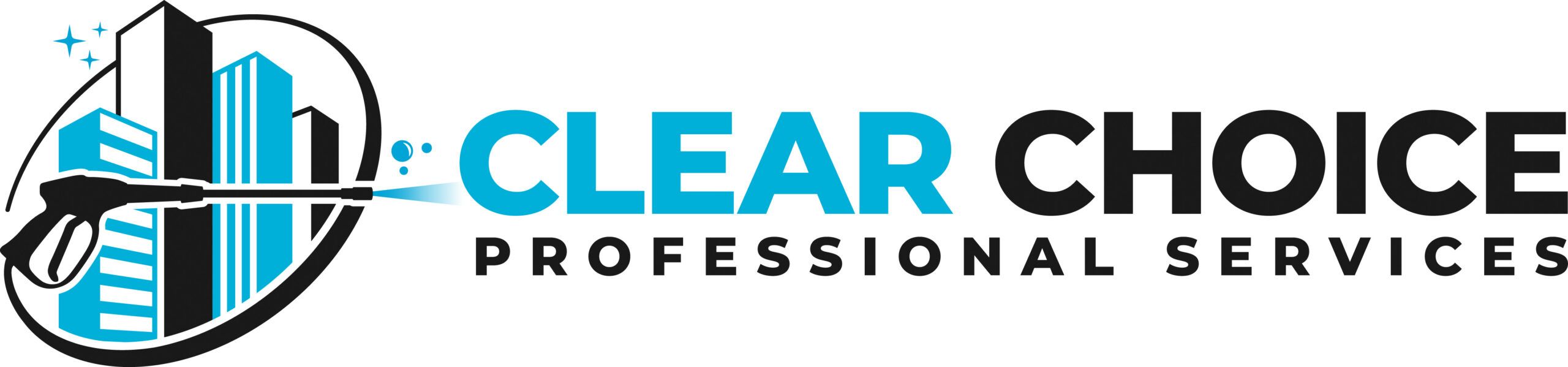 Clear Choice Professional Services